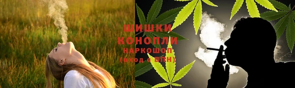 винт Осташков