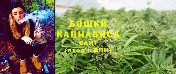 гашик Остров