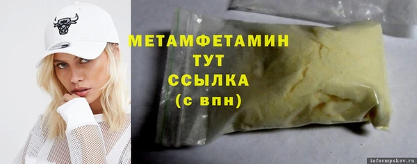 хмурый Пересвет