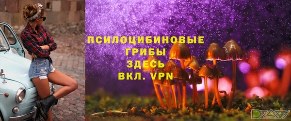 винт Осташков