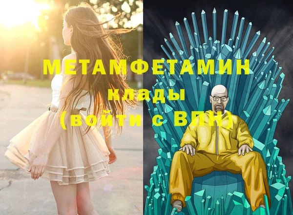хмурый Пересвет
