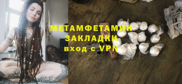 хмурый Пересвет