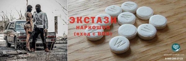 хмурый Пересвет