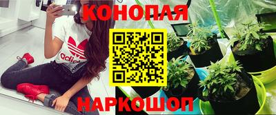 не бодяженный Гагарин